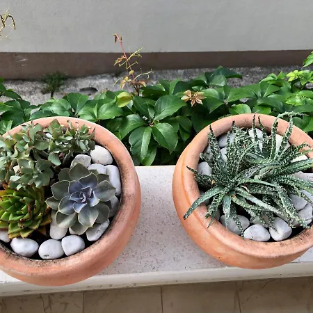 Διαμέρισμα Talija *